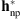 $ {\mathbf{h}}_{\mathrm{np}}^{\mathrm{*}}$