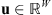 $ \mathbf{u}\in {\mathbb{R}}^W$