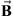 $ \overrightarrow{\mathbf{B}}$
