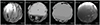 Thumbnail: Figure 13. Refer to the following caption and surrounding text.