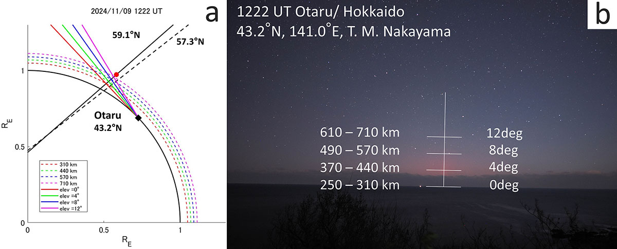 Figure 11 Refer to the following caption and surrounding text.