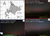 Thumbnail: Figure 3 Refer to the following caption and surrounding text.