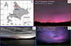 Thumbnail: Figure 5 Refer to the following caption and surrounding text.