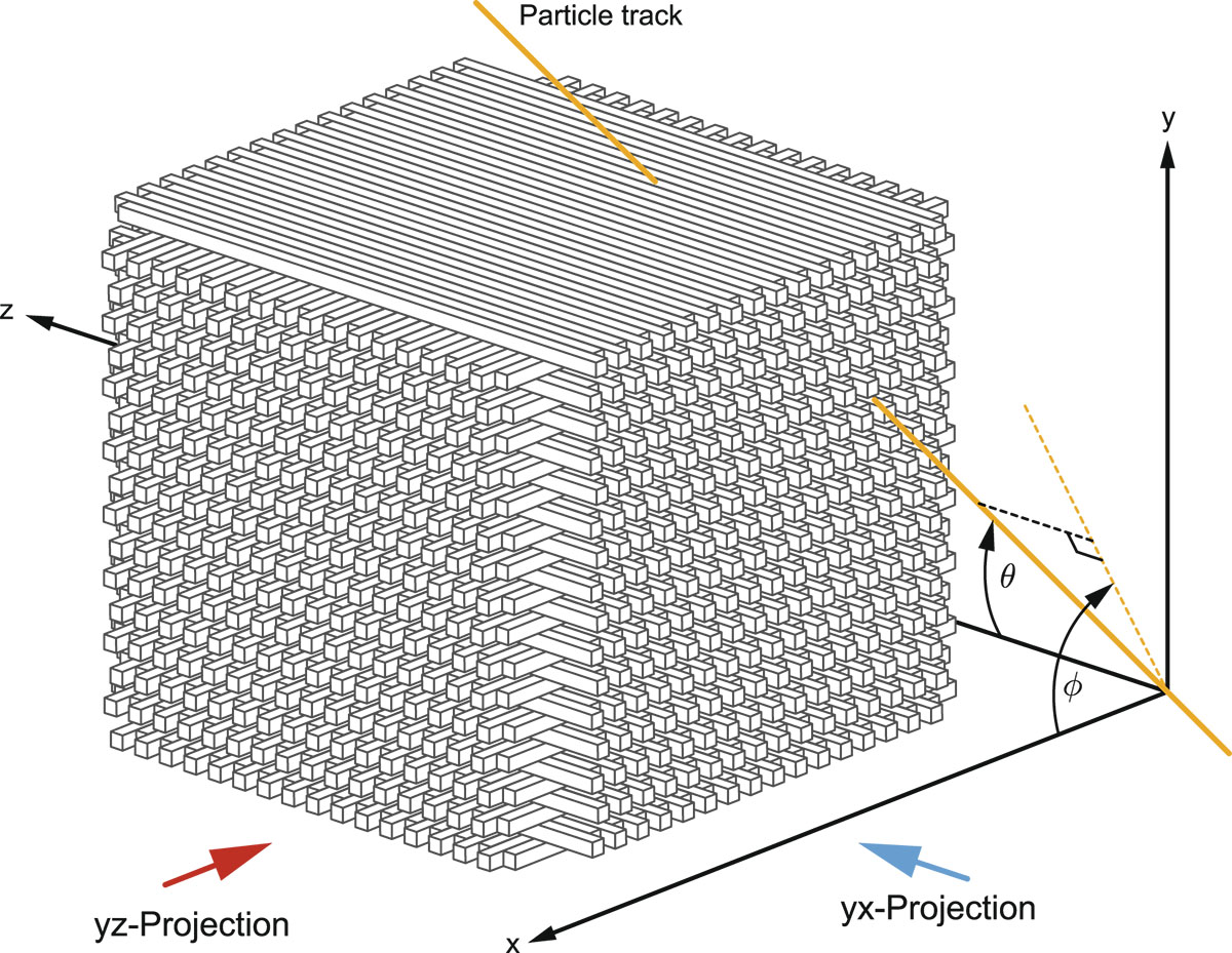 Figure 1 Refer to the following caption and surrounding text.