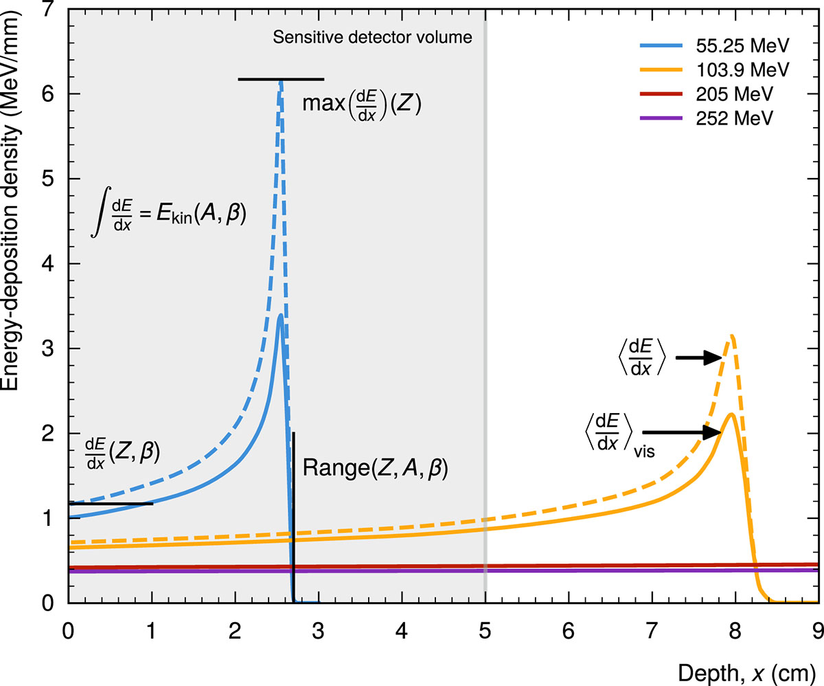 Figure 3 Refer to the following caption and surrounding text.