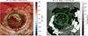 Thumbnail: Figure 6. Refer to the following caption and surrounding text.