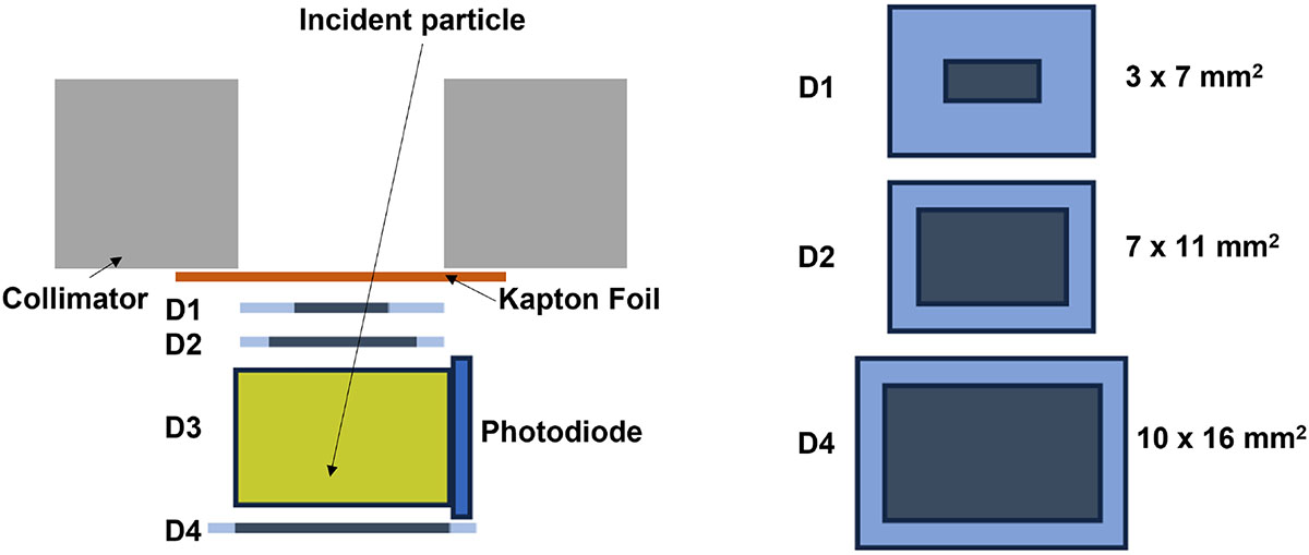 Figure 1 Refer to the following caption and surrounding text.