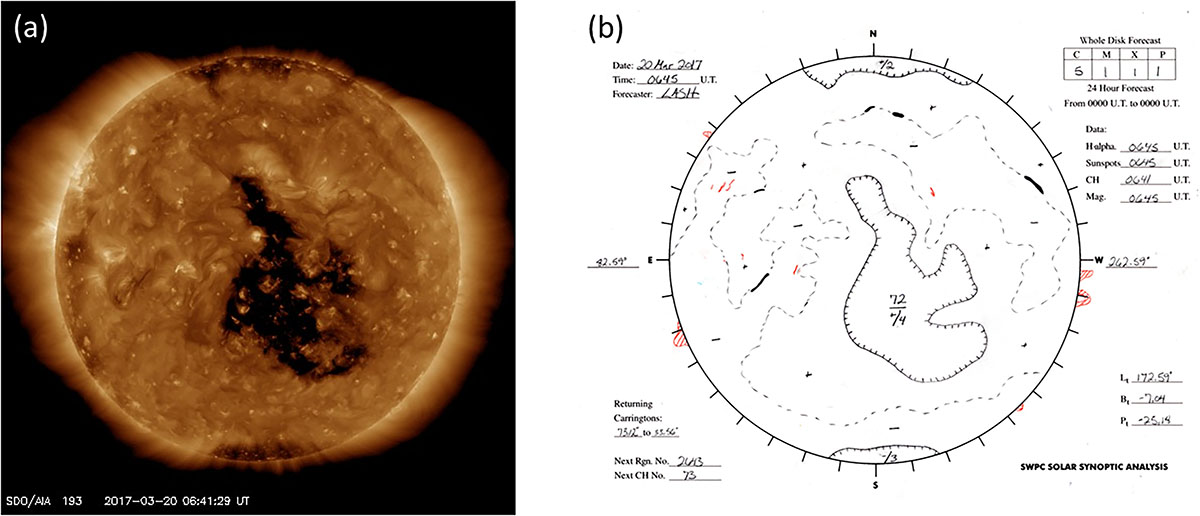 Figure 2 Refer to the following caption and surrounding text.