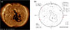 Thumbnail: Figure 2 Refer to the following caption and surrounding text.