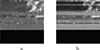 Thumbnail: Figure 4. Refer to the following caption and surrounding text.