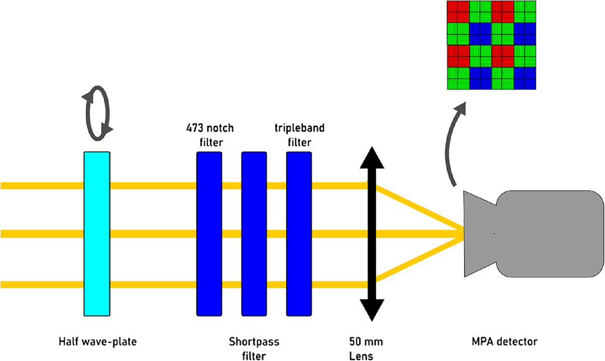 Figure 4. Refer to the following caption and surrounding text.