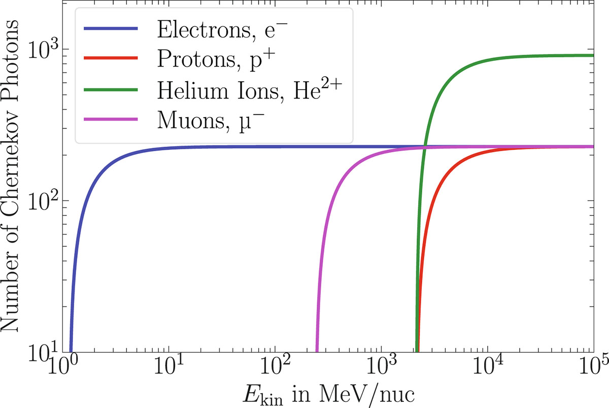 Figure 2. Refer to the following caption and surrounding text.