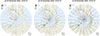 Thumbnail: Fig. S1.6: Refer to the following caption and surrounding text.